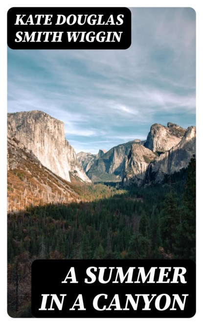 A Summer in a Canyon
