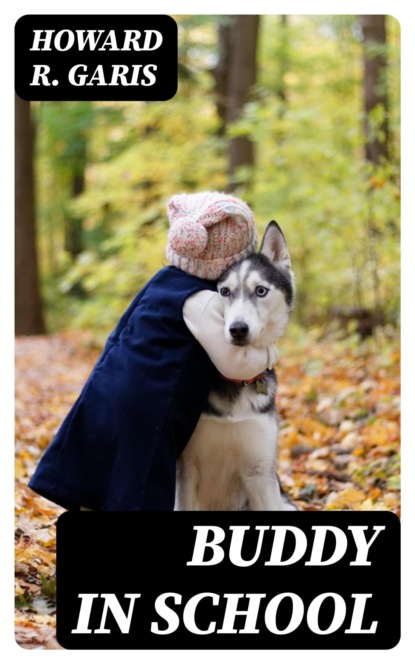 Buddy in School