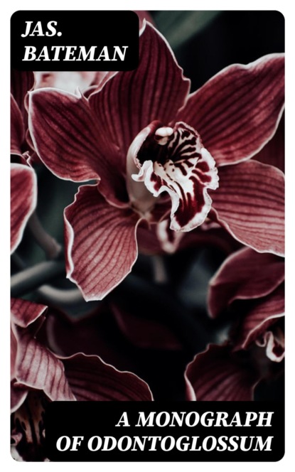 A Monograph of Odontoglossum