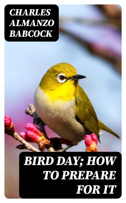 Bird Day; How to prepare for it