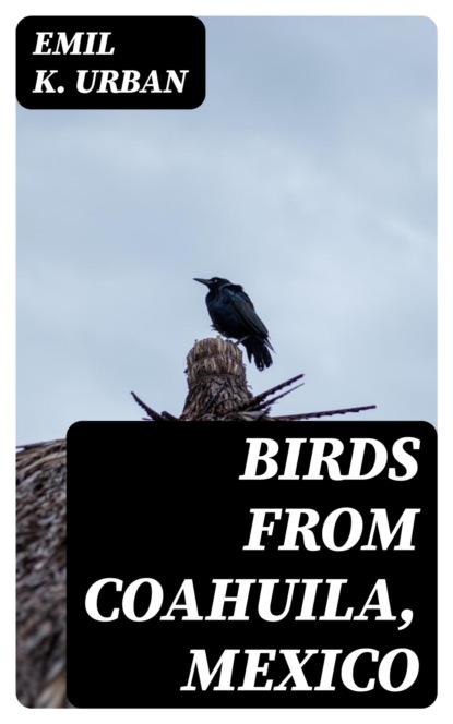 Birds from Coahuila, Mexico