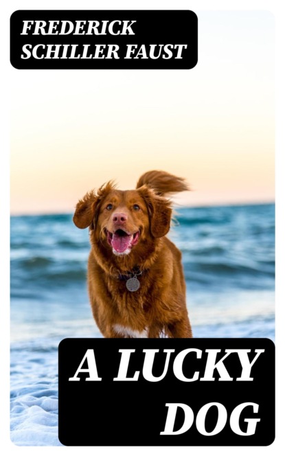 A Lucky Dog