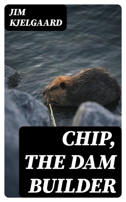 Chip, the Dam Builder