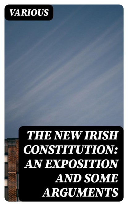 The New Irish Constitution: An Exposition and Some Arguments