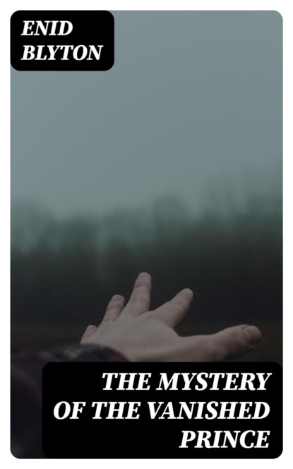 The Mystery of the Vanished Prince
