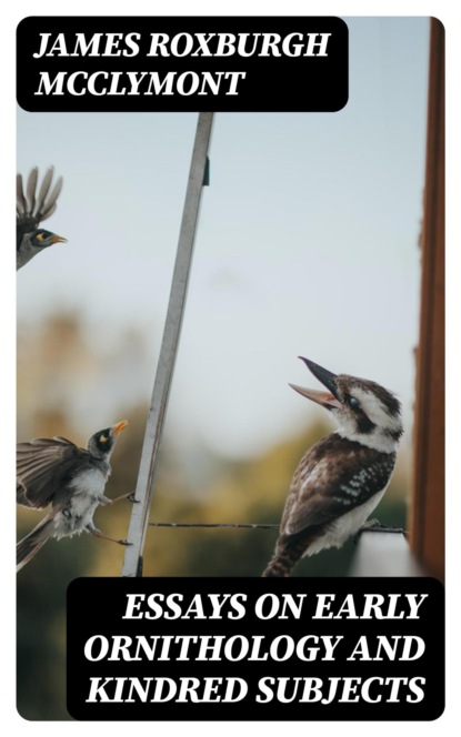 Essays on early ornithology and kindred subjects