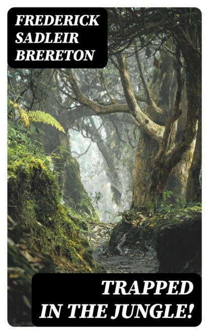 Trapped in the Jungle!