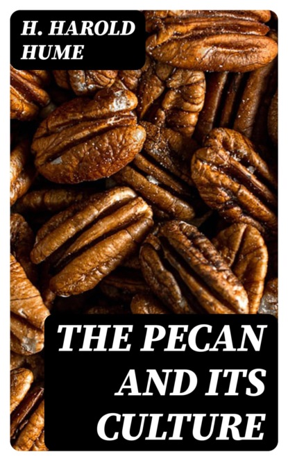 The Pecan and its Culture