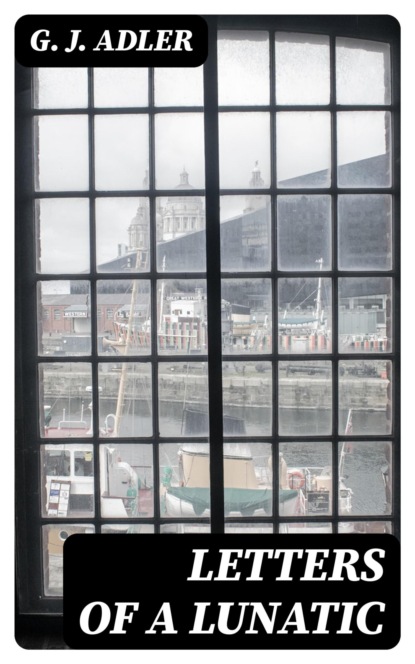 Letters of a Lunatic