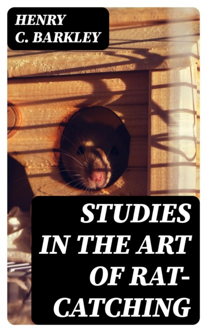 Studies in the Art of Rat-catching