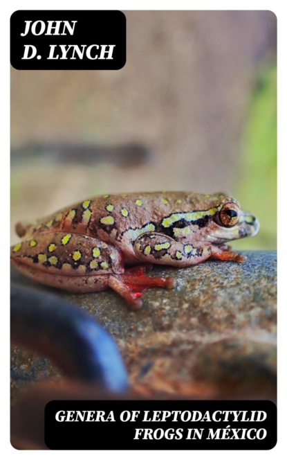 Genera of Leptodactylid Frogs in México