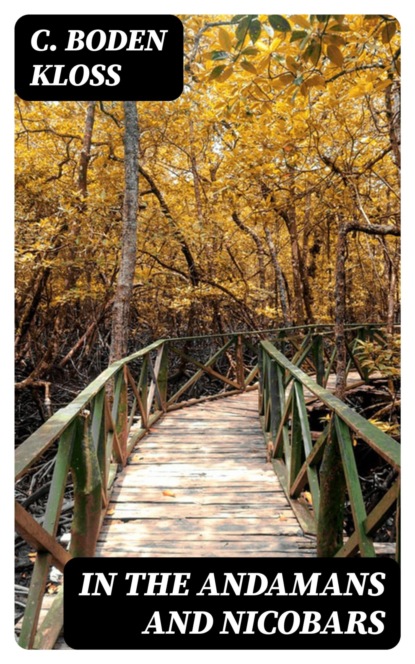 In the Andamans and Nicobars