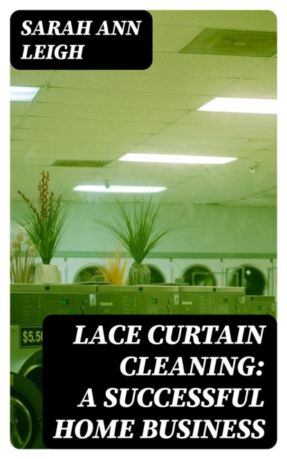 Lace Curtain Cleaning: A Successful Home Business