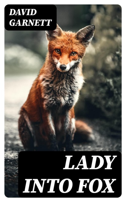 Lady into Fox