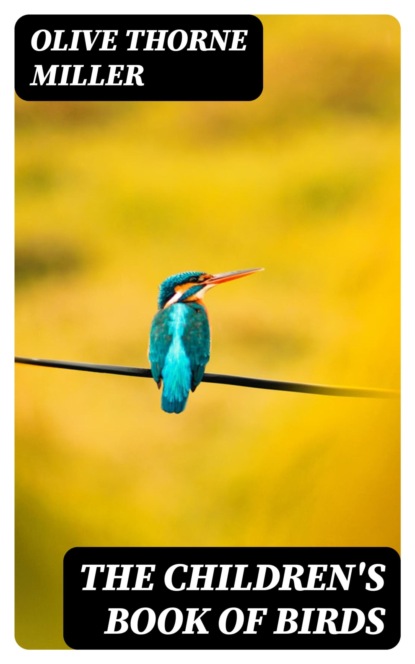 The Children's Book of Birds