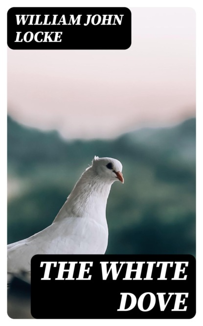 The White Dove