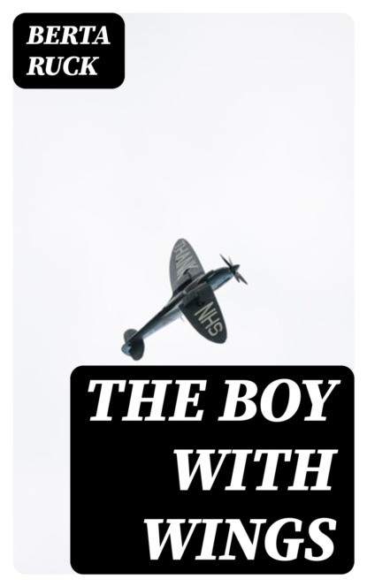 The Boy with Wings