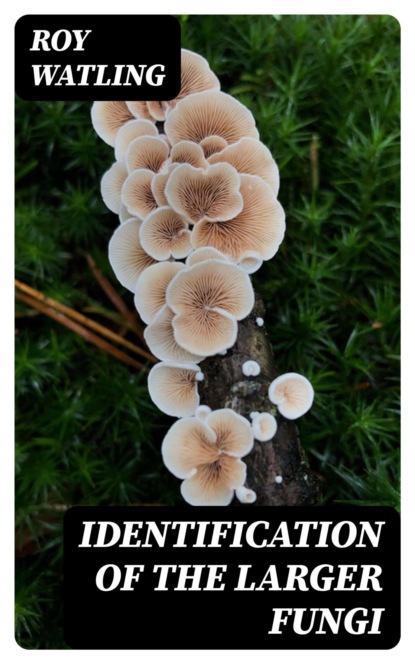 Identification of the Larger Fungi