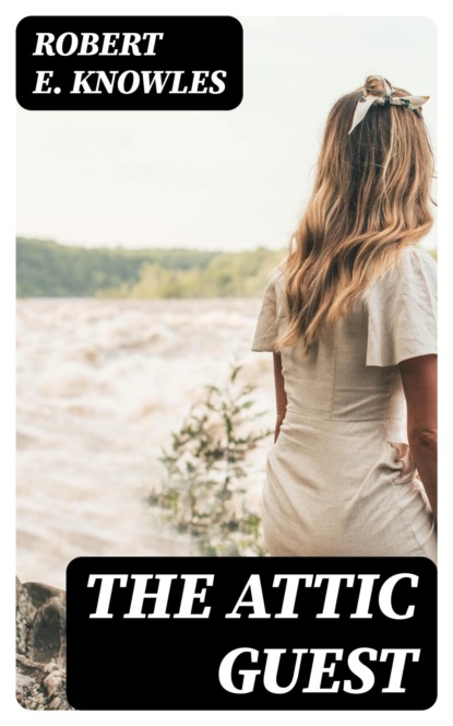 The Attic Guest