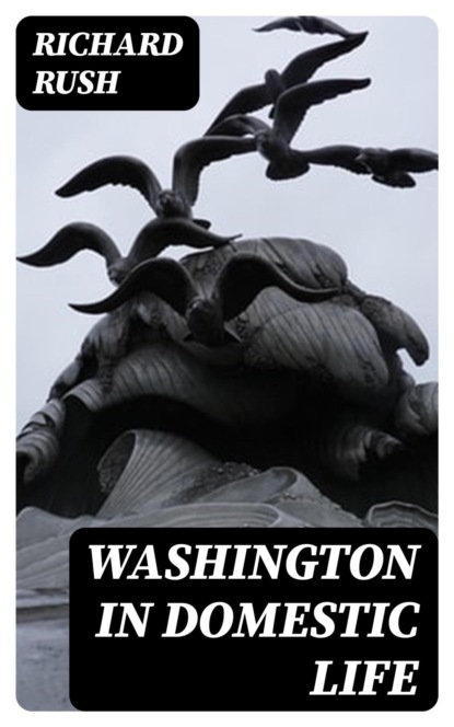 Washington in Domestic Life