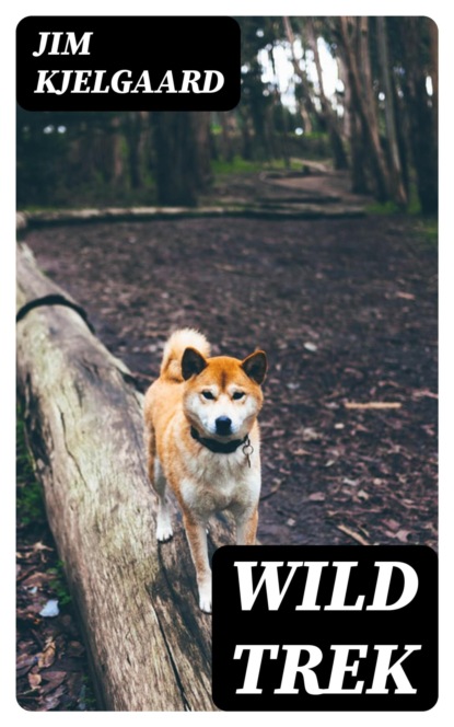Wild Trek