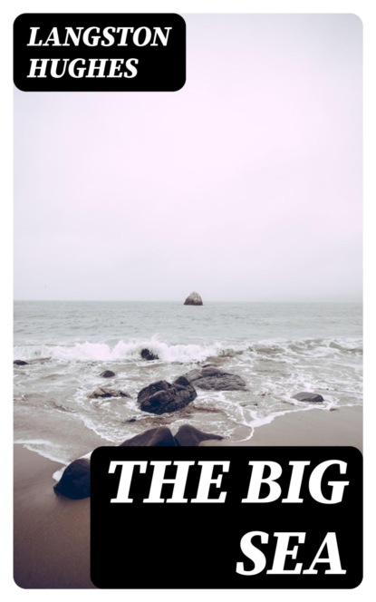 The Big Sea