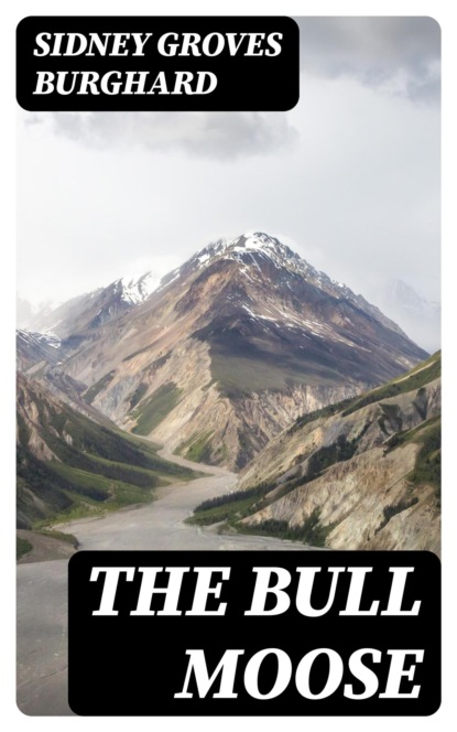 The Bull Moose