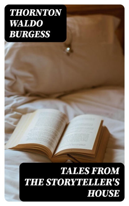 Tales from the Storyteller's House