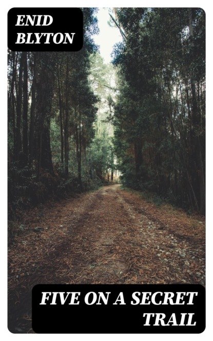 Five on a Secret Trail