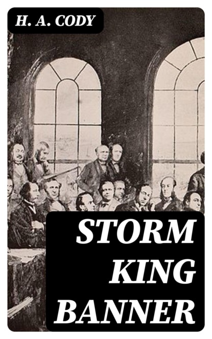 Storm King Banner
