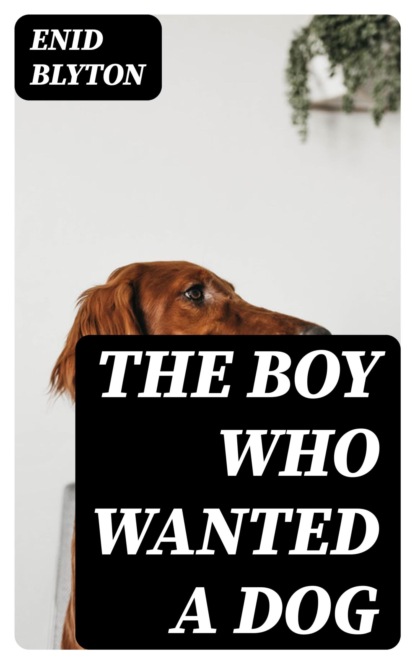 The Boy Who Wanted a Dog