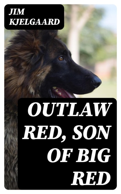 Outlaw Red, Son of Big Red