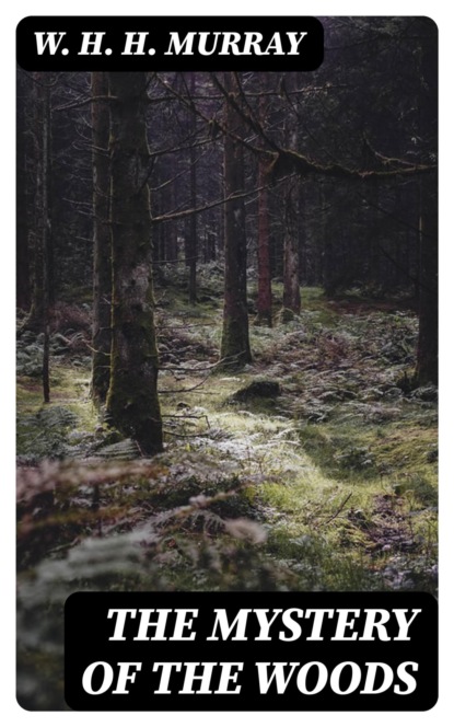 The Mystery of The Woods