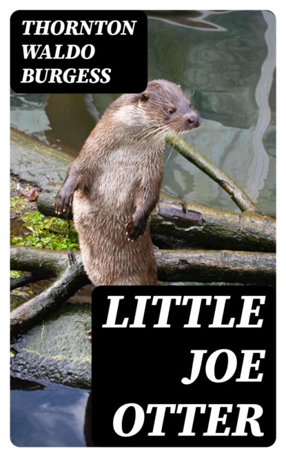 Little Joe Otter