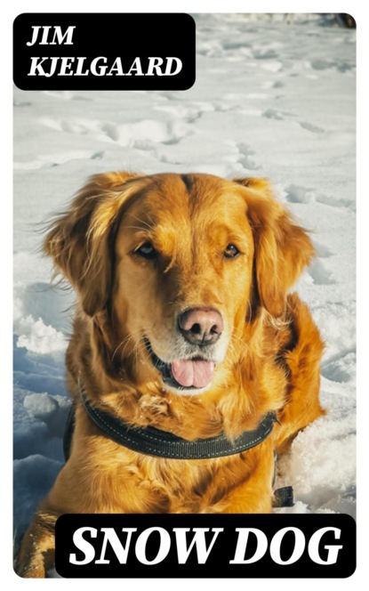 Snow Dog
