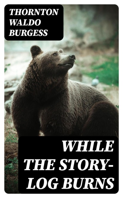 While the Story-Log Burns