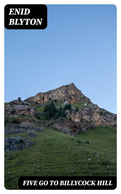 Five Go to Billycock Hill