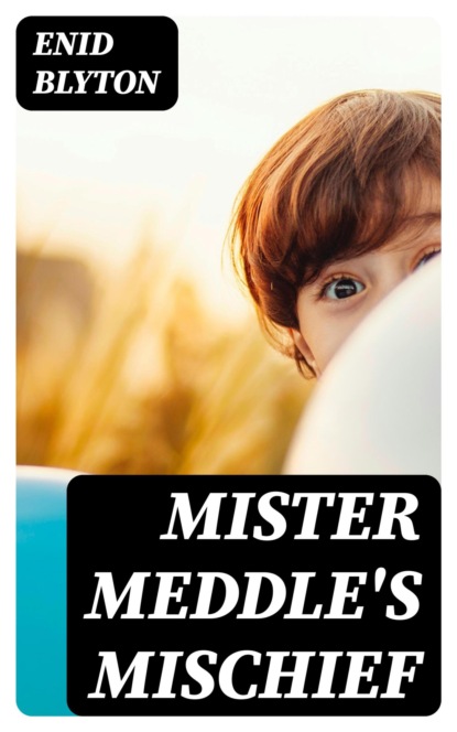 Mister Meddle's Mischief