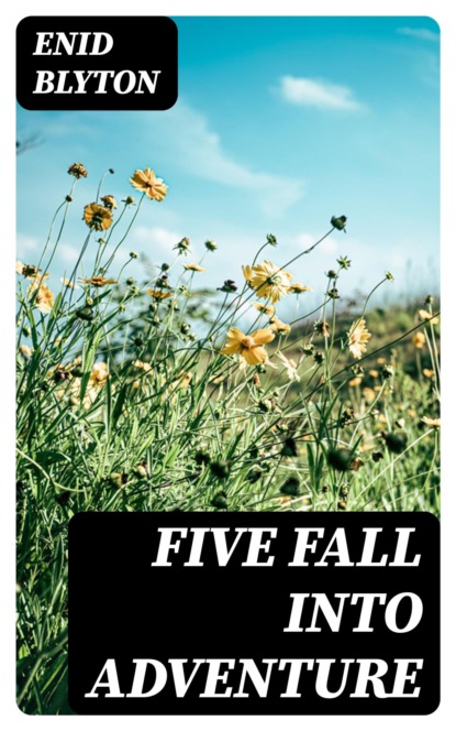 Five Fall into Adventure