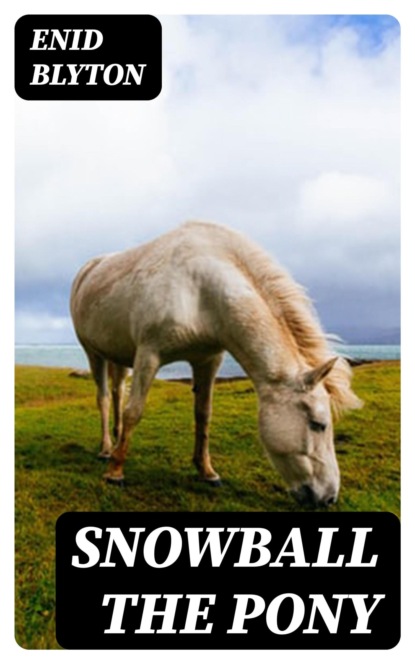 Snowball the Pony