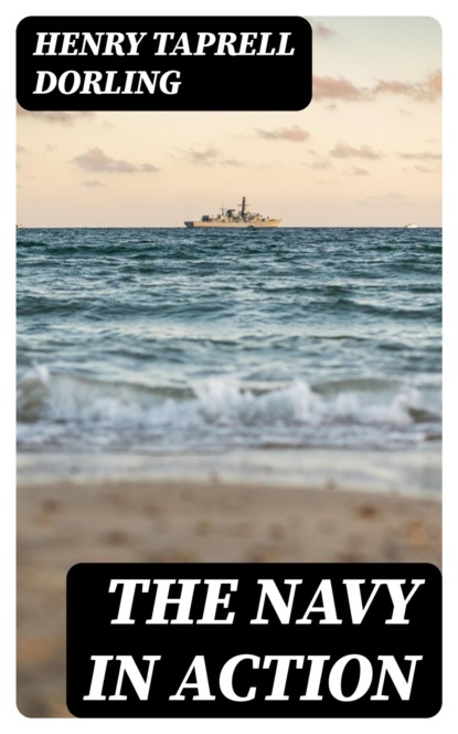 The Navy in Action