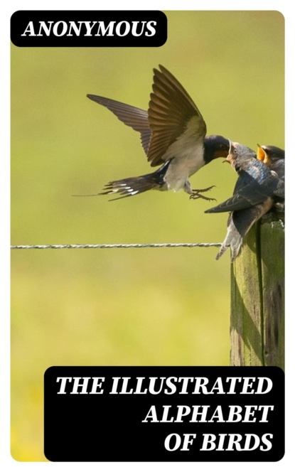 The Illustrated Alphabet of Birds