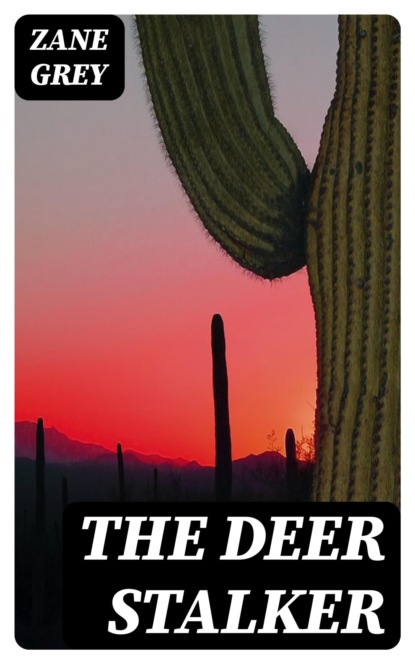The Deer Stalker