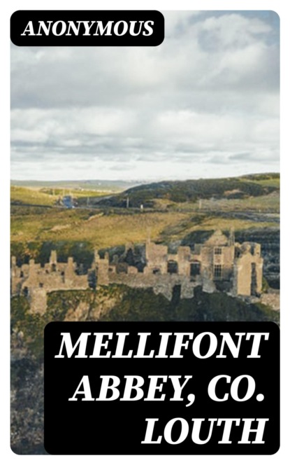 Mellifont Abbey, Co. Louth
