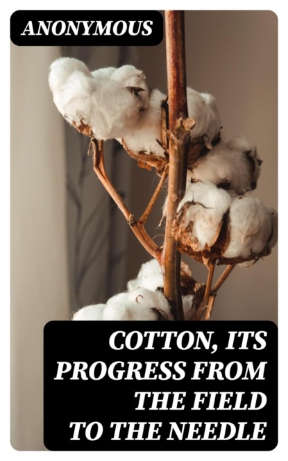 Cotton, Its Progress from the Field to the Needle
