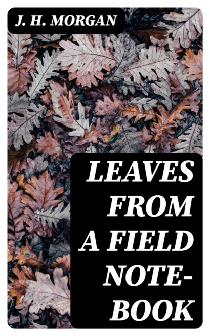 Leaves from a Field Note-Book