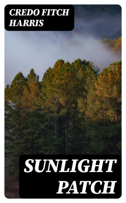 Sunlight Patch
