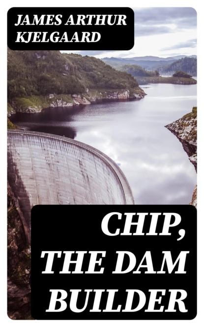 Chip, the Dam Builder