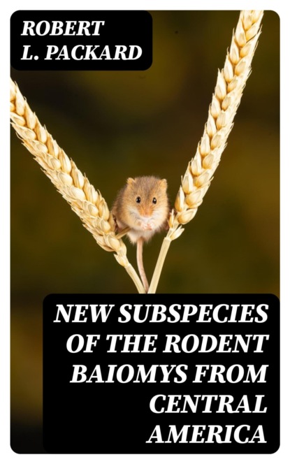 New Subspecies of the Rodent Baiomys from Central America