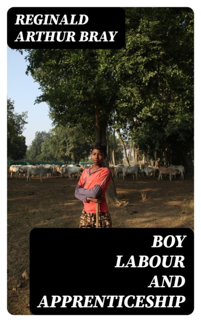 Boy Labour and Apprenticeship